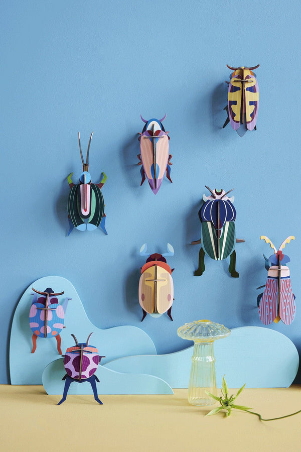 Alle beetles van Studio Roof - In den Olifant