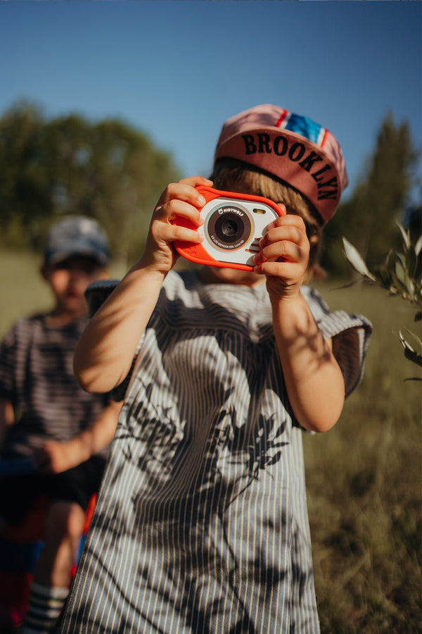 Camera's - In den Olifant