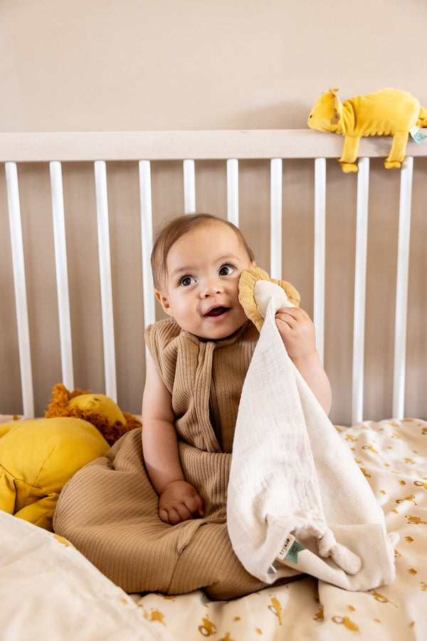 Knuffeldoekjes - In den Olifant