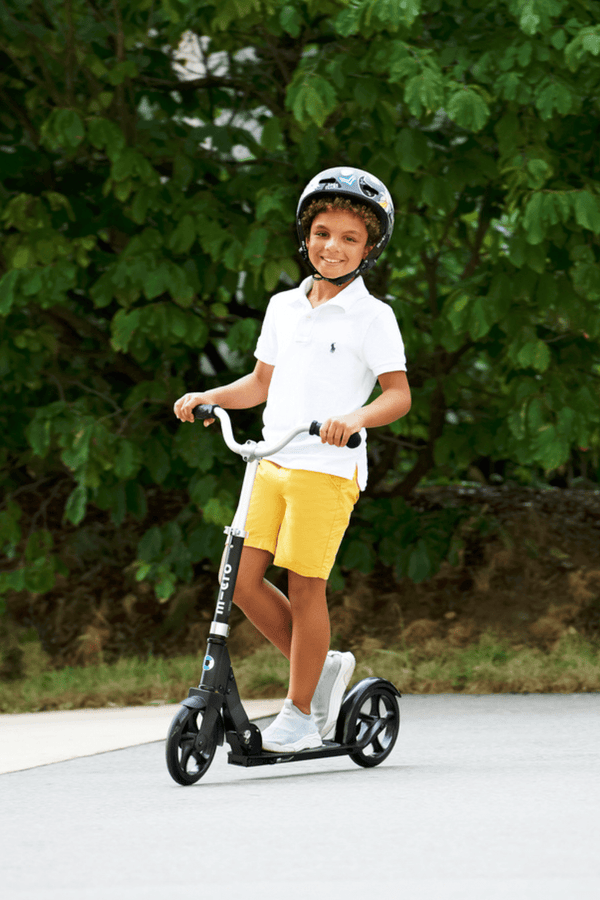 Micro Cruiser steps - In den Olifant