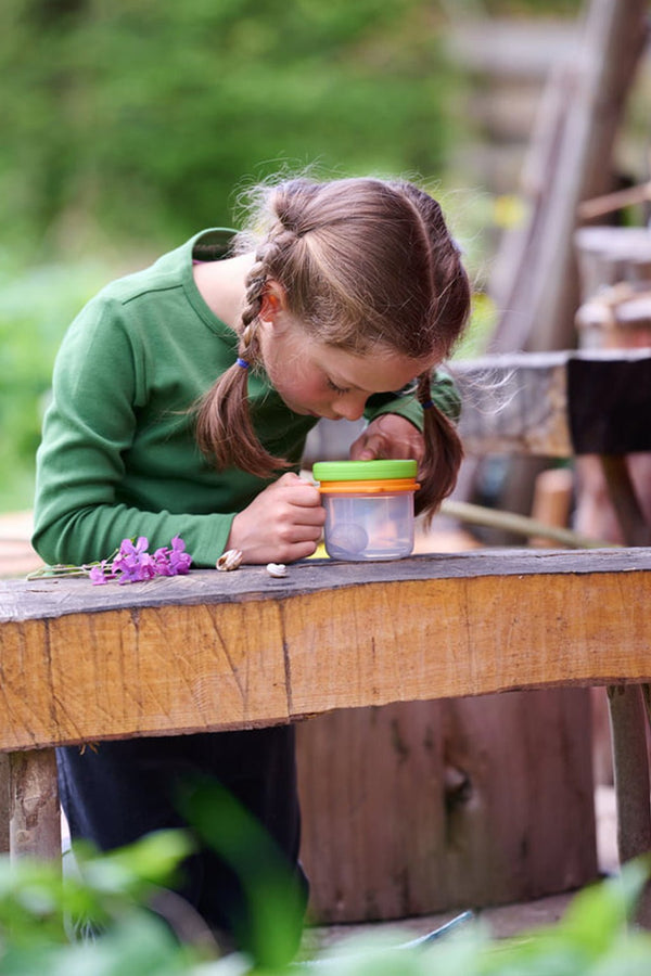 Natuurspeelgoed - In den Olifant
