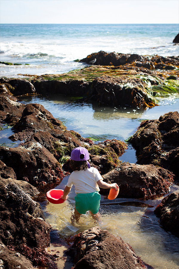 Summer Shop · Aan het water - In den Olifant