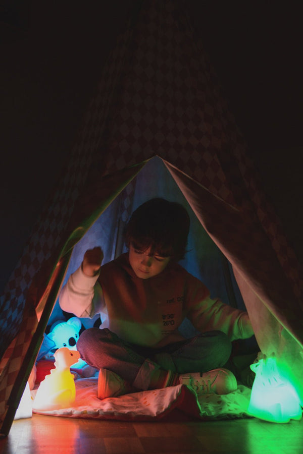 Verlichting - In den Olifant