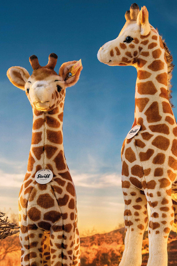 Knuffels giraffen van Steiff