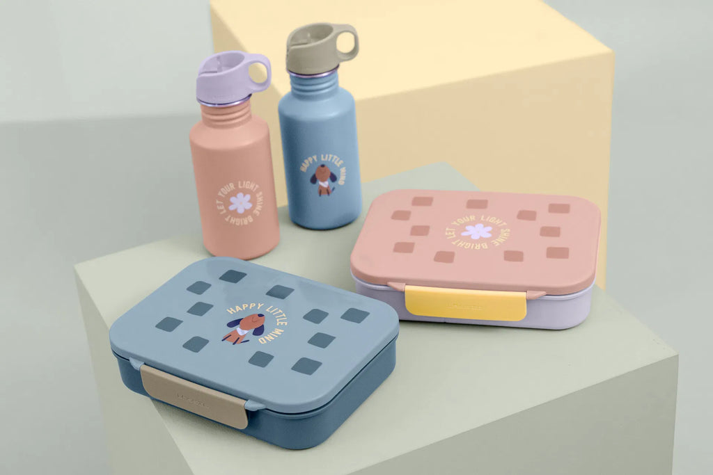 Lunchbox Bento Box - Pattern Party Blue Green