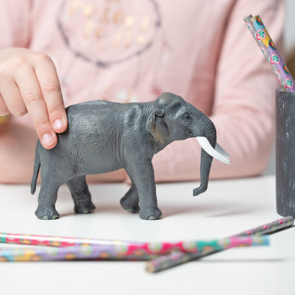 Asian Elephant