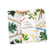 23 aquarelpotloden Le jardin du Moulin - Kleuren en tekenen Moulin Roty - In den Olifant