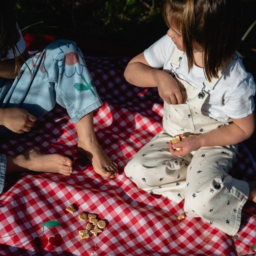 3 - in - 1 outdoor speelkleed & opbergzak - Pic nic - Opbergers Play&go - In den Olifant