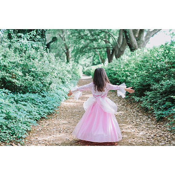 Verkleedjurk Pink Rose Princess Dress