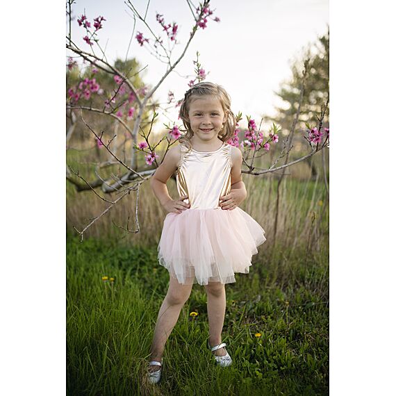 Verkleedjurk Ballet Tutu Dress | Rose Gold