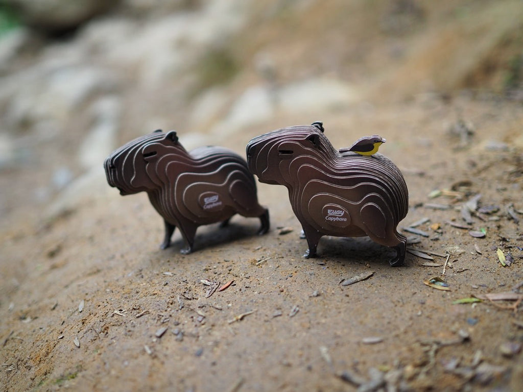 3D puzzel - Capibara - Speciale puzzels Eugy - In den Olifant