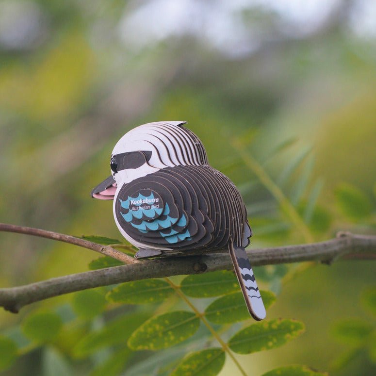 3D puzzel Eugy - Kookaburra - Speciale puzzels Eugy - In den Olifant