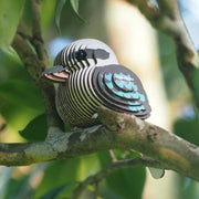 3D puzzel Eugy - Kookaburra - Speciale puzzels Eugy - In den Olifant