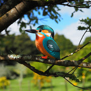 3D puzzel - IJsvogel - Speciale puzzels Eugy - In den Olifant