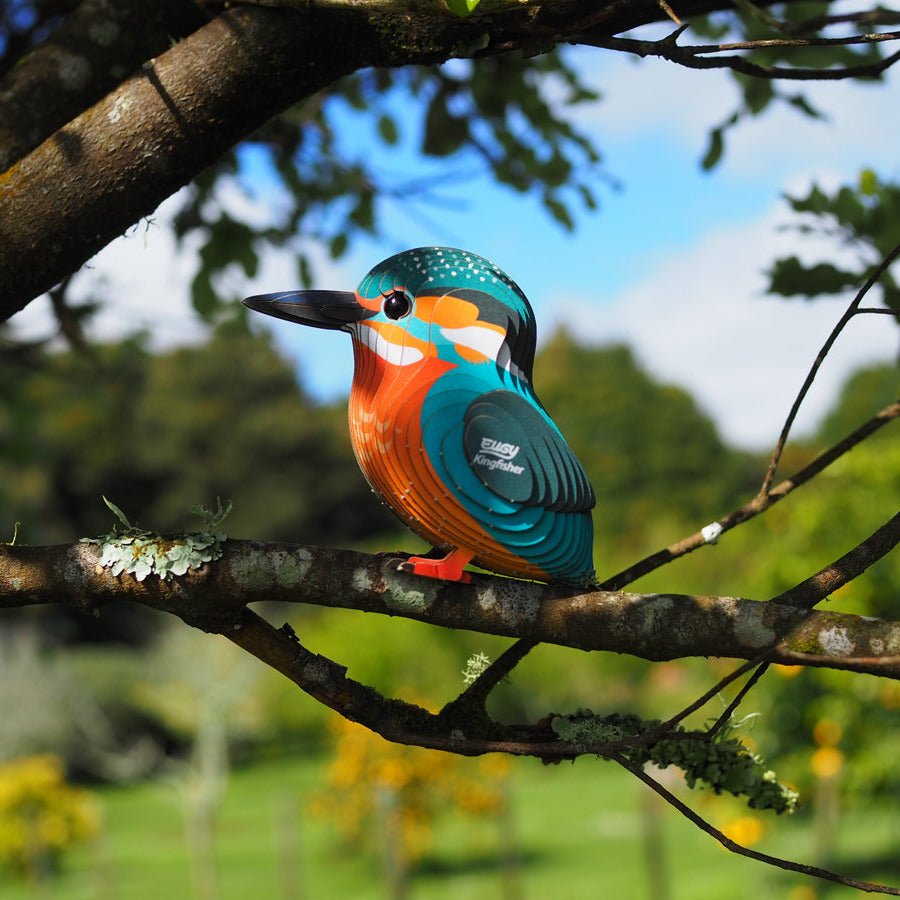 3D puzzel - IJsvogel - Speciale puzzels Eugy - In den Olifant