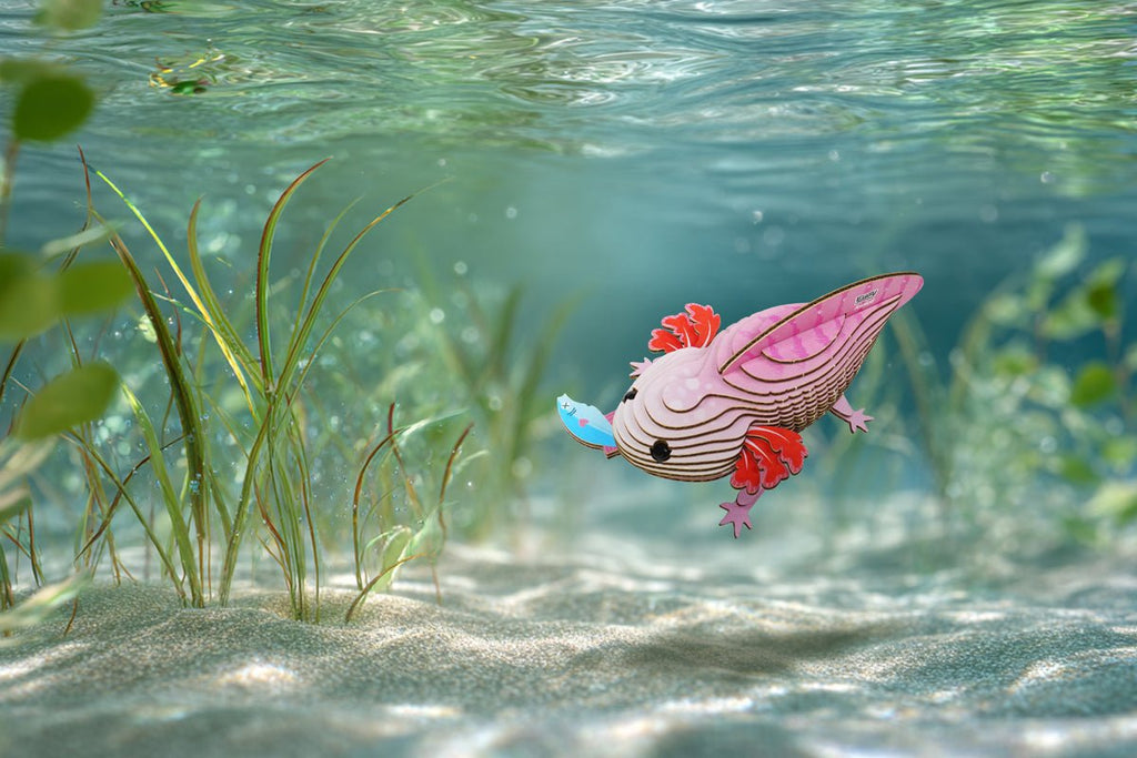 3D puzzel - Wild Dier Axolotl - Speciale puzzels Eugy - In den Olifant