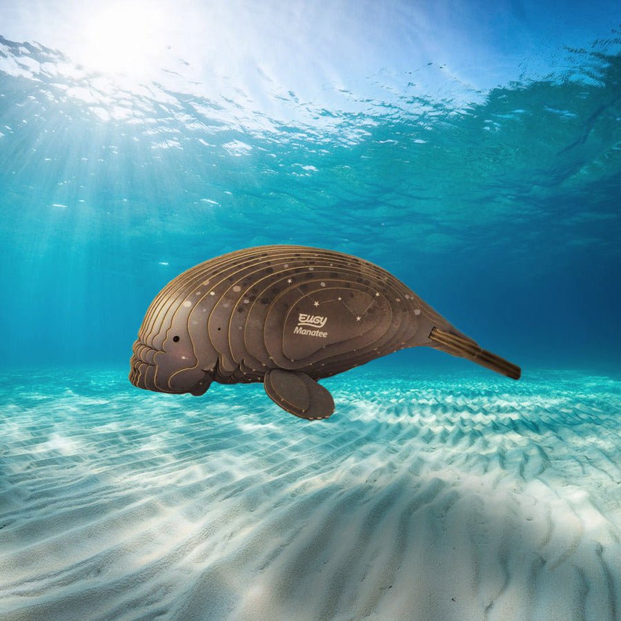 3D puzzel - Zeekoe - Speciale puzzels Eugy - In den Olifant