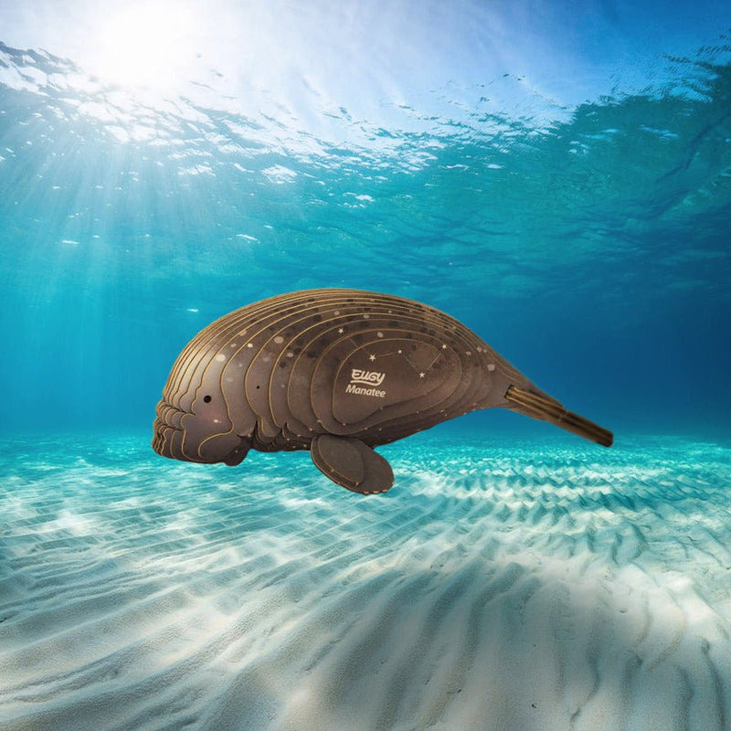 3D puzzel - Zeekoe - Speciale puzzels Eugy - In den Olifant