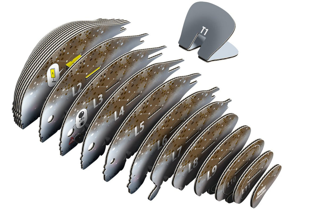 3D puzzel - Zeekoe - Speciale puzzels Eugy - In den Olifant