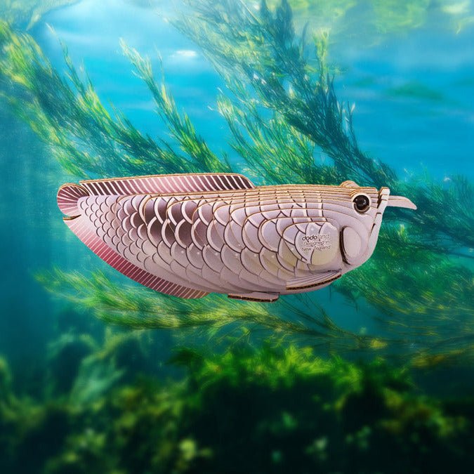 3D puzzel - Zilveren Arowana - Speciale puzzels Eugy - In den Olifant