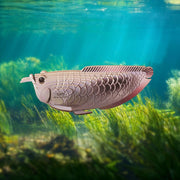 3D puzzel - Zilveren Arowana - Speciale puzzels Eugy - In den Olifant