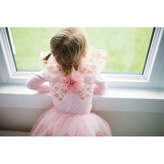 Verkleedrok Met Vleugels Rose Gold Wings/Tutu