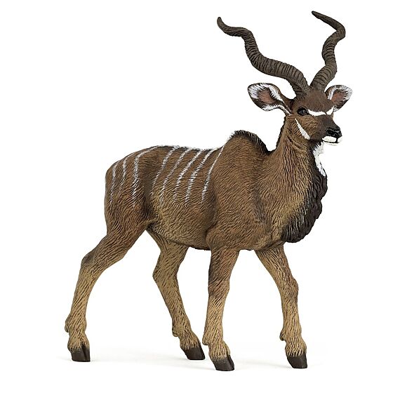 Kudu-Antilope