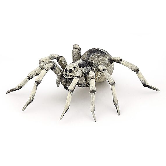 Tarantula