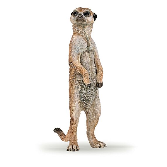 Staande Meerkat