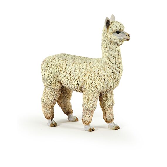 Alpaca