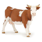 Simmental Koe