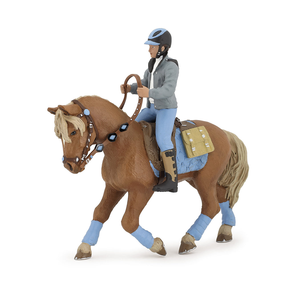 Horse for the young rider