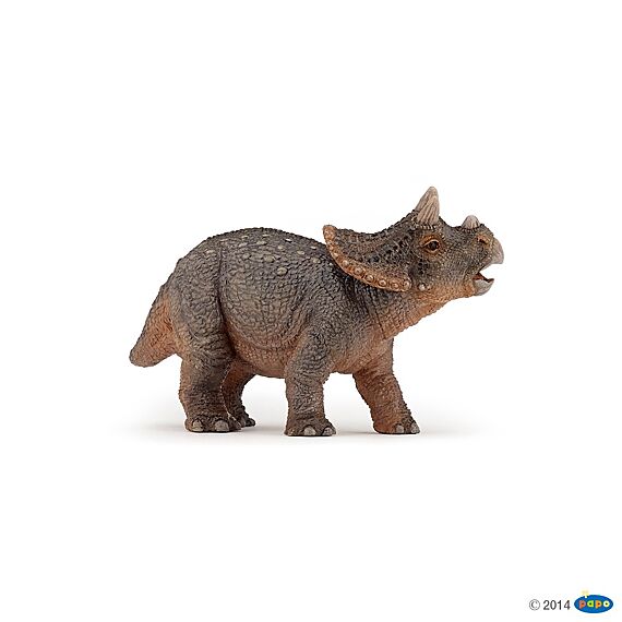 Baby Triceratops