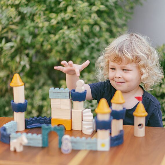 Blokken Castle Blocks - Set Van 40