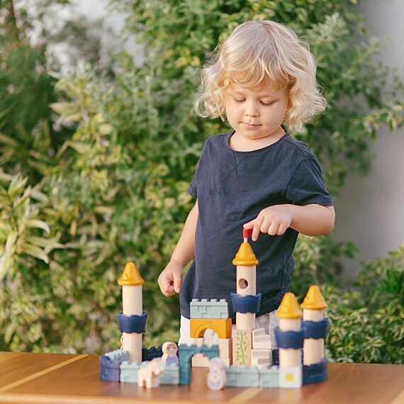 Blokken Castle Blocks - Set Van 40