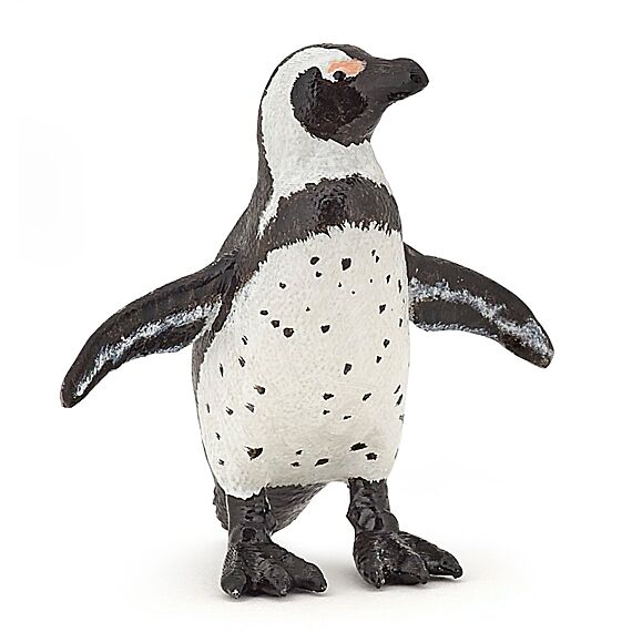 Afrikaanse Pinguin