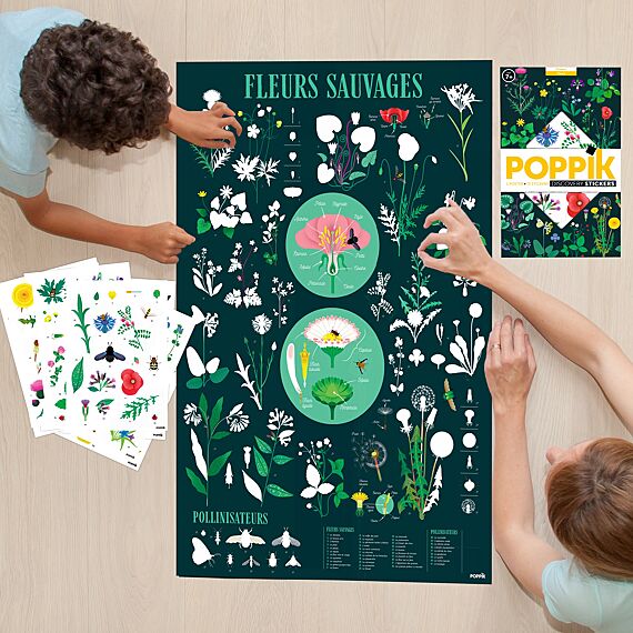 Educatieve Xxl Poster + 51 Stickers Botanic | 7-12 Jaar