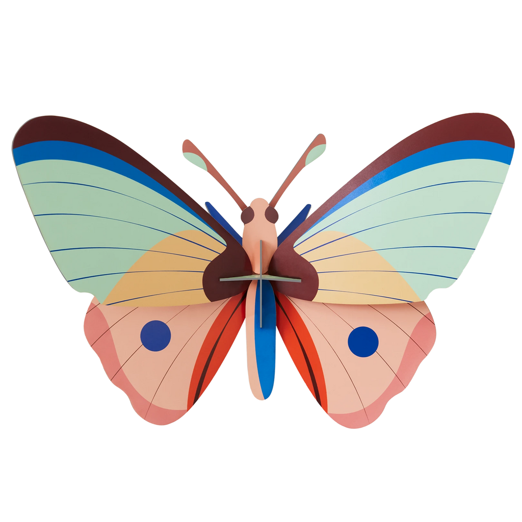 Cattleheart Butterfly