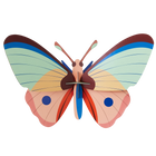 Cattleheart Butterfly