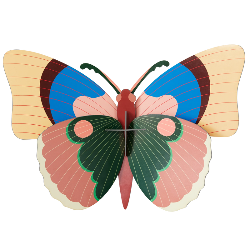 Cepora Butterfly