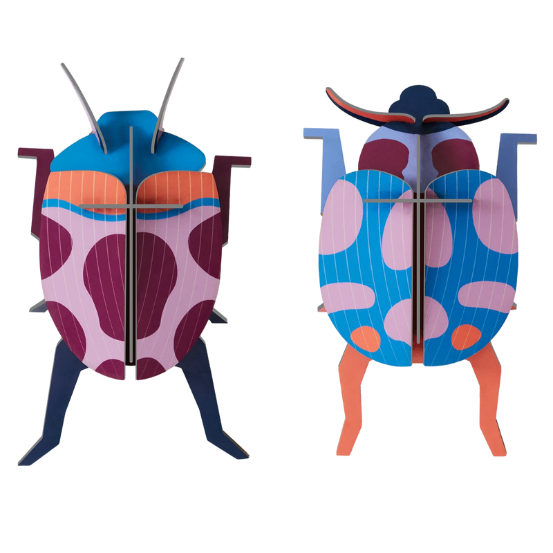 Coccinelle Couple