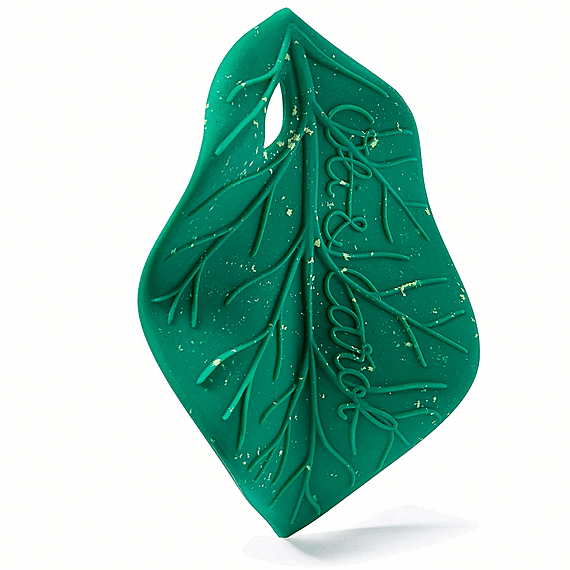 Bijtspeeltje - Chlorophyll Leaf Baby Teether