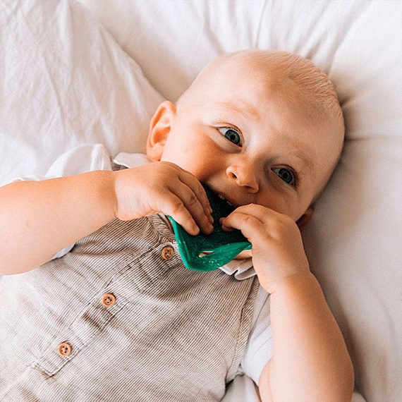 Bijtspeeltje - Chlorophyll Leaf Baby Teether