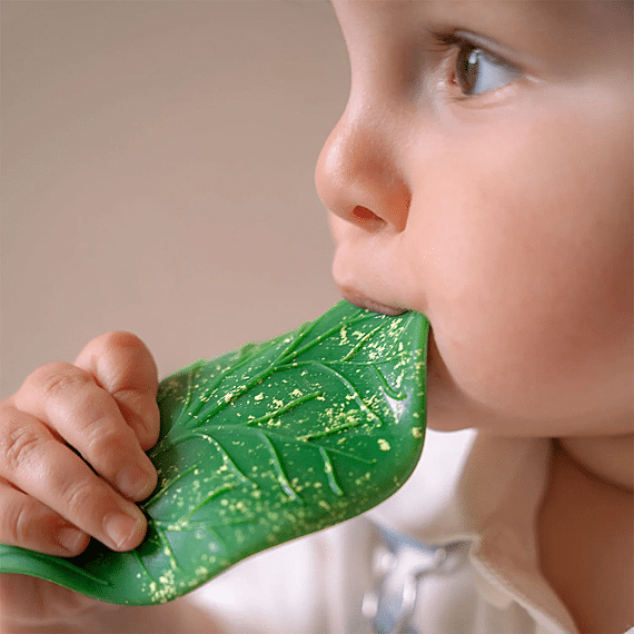 Bijtspeeltje - Chlorophyll Leaf Baby Teether