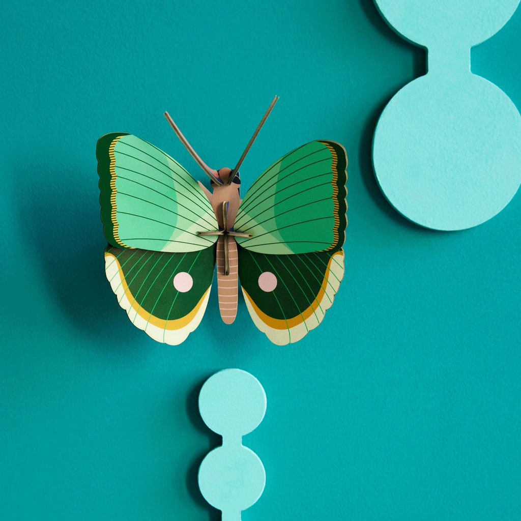 Fern Striped Butterfly