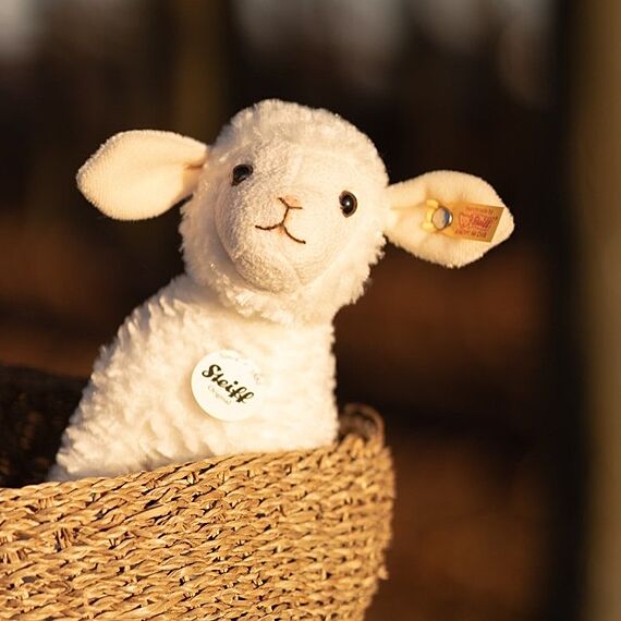 Knuffel Anni Lamb White - 16 cm