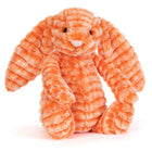 Fizzleskip le Lapin Original