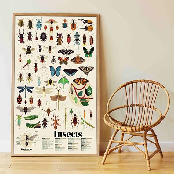 Educatieve Xxl Poster + 44 Stickers Insect | 6-12 Jaar