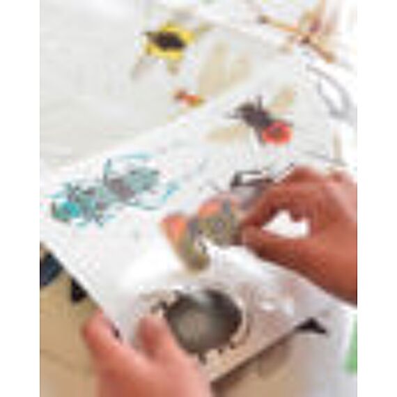 Educatieve Xxl Poster + 44 Stickers Insect | 6-12 Jaar