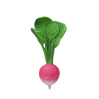 Bijtspeeltje | Ramona The Radish